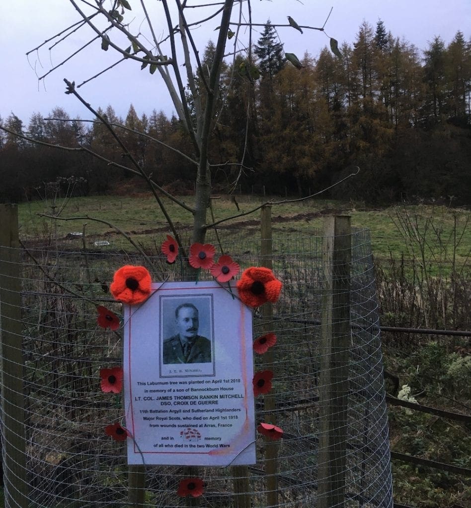 Laburnum Tree Memorial