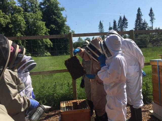 Beekeepers visit